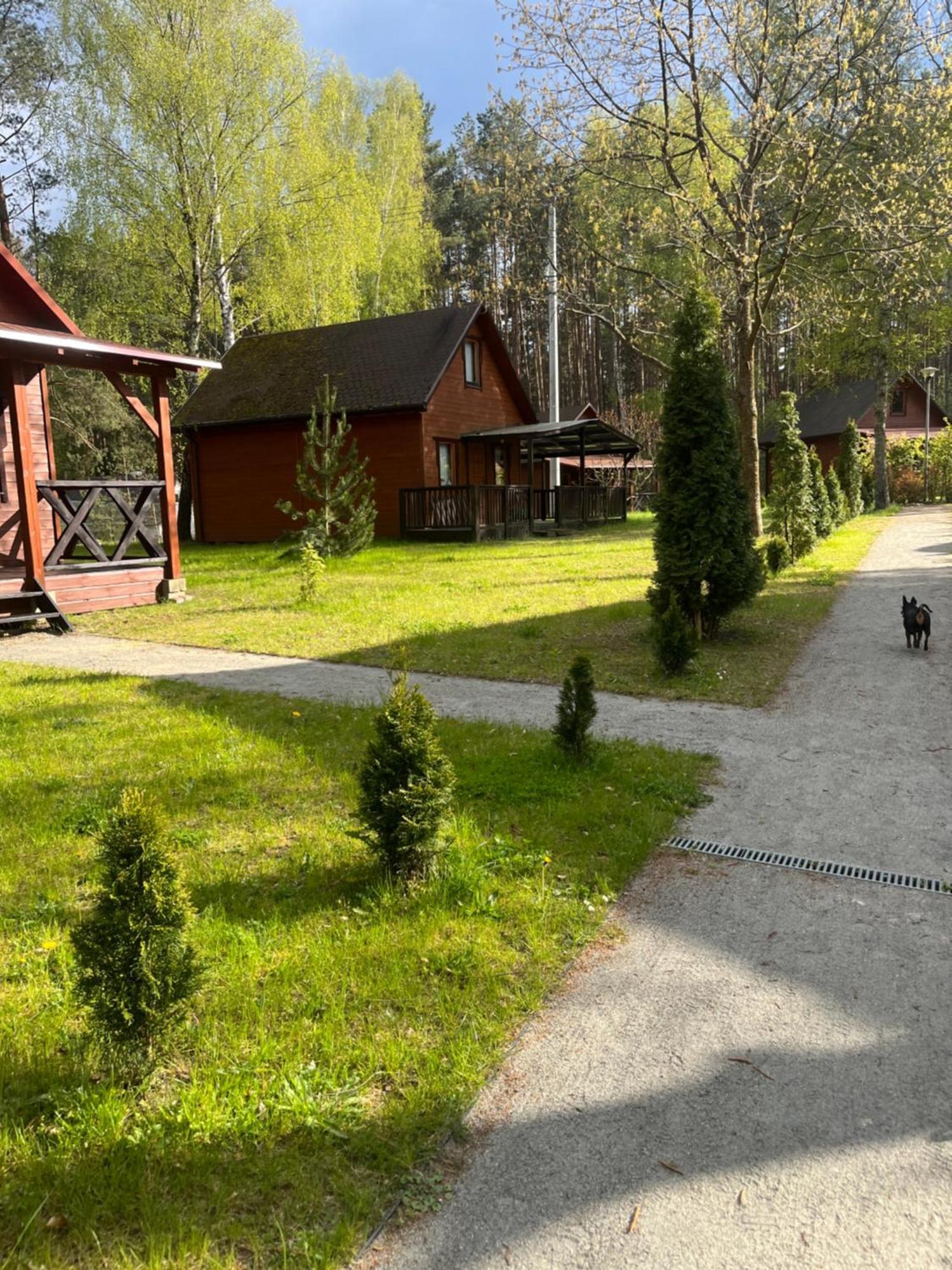 Domki Letniskowe Nad Jeziorem Kazub Cieciorka Extérieur photo